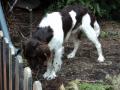 dsc00123.jpg