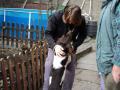 dsc00132.jpg