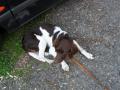 sam-0178-large.jpg