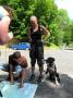 sam-0180-large.jpg