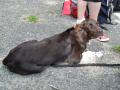 sam-0182-large.jpg
