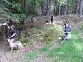 sam-0194-large.jpg