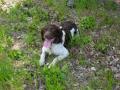sam-0219-large.jpg
