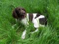 sam-0231-large.jpg