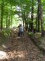 sam-0256-large.jpg