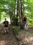 sam-0257-large.jpg