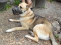 sam-0269-large.jpg