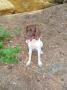sam-0307-large.jpg