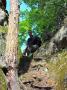 sam-0314-large.jpg