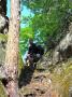 sam-0316-large.jpg